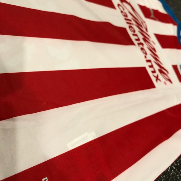 Puma Chivas Jersey Liga MX 2020 - Picture 4 of 4